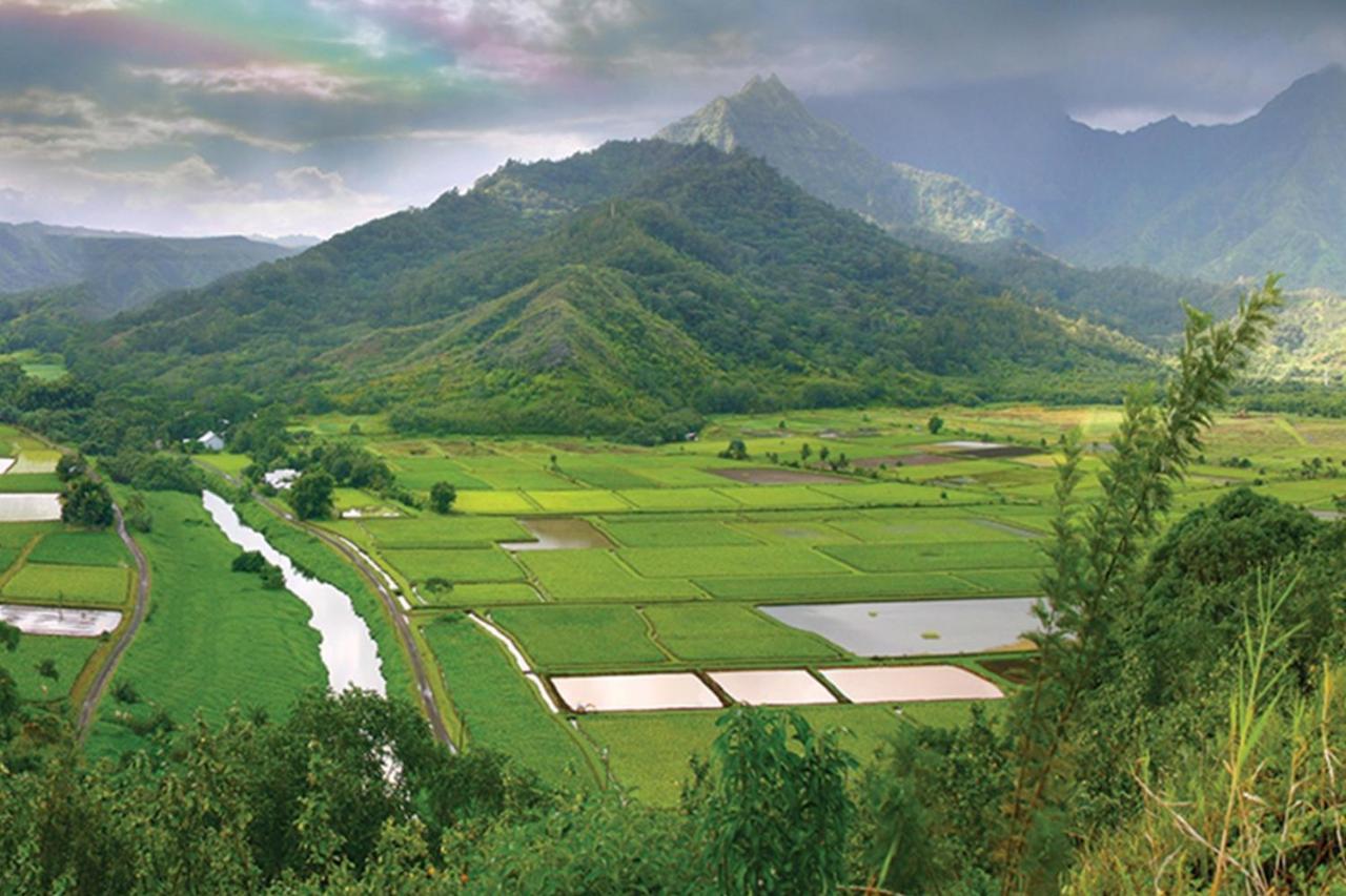 Puu Poa Apartment พรินซ์วิลล์ ภายนอก รูปภาพ